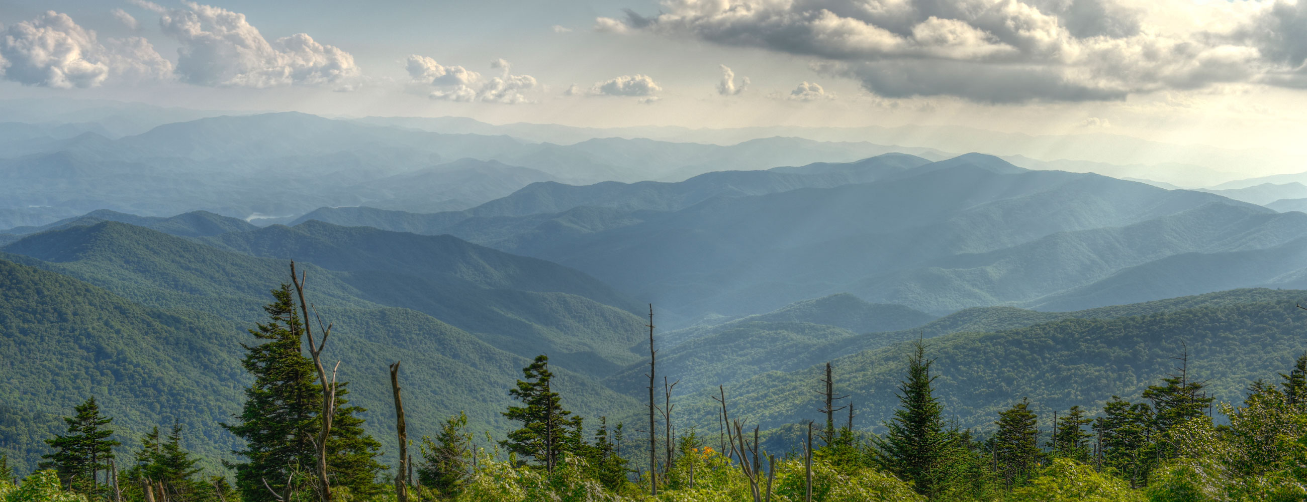 Термо Российская Федерация